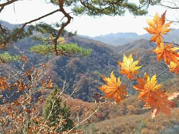 两部门拟规定：精神卫生福利机构应当实行24小时值班巡查制度